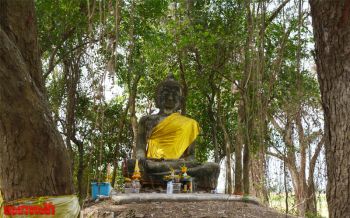 ตะลึง! พบพระพุทธรูป\'ปางมารวิชัย\'ถูกทิ้งร้างตั้งตระหง่านในป่าเล็กกลางดงงูเห่า