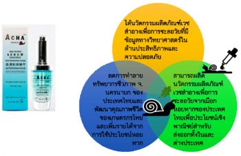 วิทยาศาสตร์กีฬา : ผลิตภัณฑ์เวชสำอางชะลอวัยจากเมือกหอยทาก  สายพันธุ์อาช่า (Achatina fulica) (2)