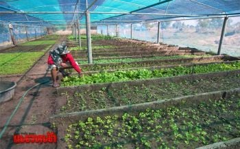 ลัดเลาะ‘บ้านหนองตาใกล้’ ต้นแบบความสำเร็จ‘ชาวนา’ที่ไม่อยู่เฉย