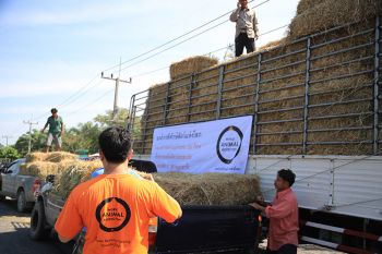 องค์กรพิทักษ์สัตว์ฯซึ้งน้ำใจคนไทย เผยทั่วโลกช่วยแล้วกว่า1,700ล.ชีวิต