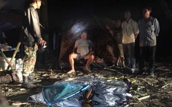‘เปรมชัย’เปิดใจ!\'ผมยินดีขอโทษ เพราะผมก็มีส่วนผิด\'