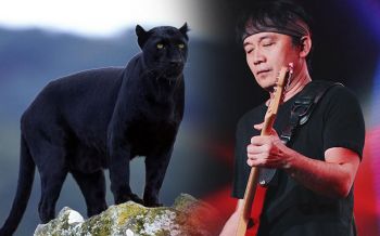 \'ปู พงษ์สิทธิ์\'โชว์เพลง\'สัตว์รักสัตว์\' กับประโยคเด็ด\'เหลือแต่หนังประดับบ้านเศรษฐี\'