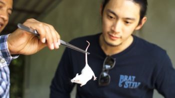 ‘กบนอกกะลา’ตอน อาหารสัตว์... มีชีวิต