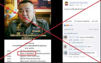 \'อ.จุฬา\'จวกพวกแชร์มั่ว\'คดีเสือดำ\' แนะตั้งสติจับตา\'เปรมชัย\'อย่าใส่ดราม่า