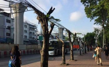 จองเวร \'อิตาเลียนไทย\'! ขออำนาจศาลสั่งห้ามย้าย \'ต้นไม้\' ตลอดแนวสร้างรถไฟฟ้า 11 สาย