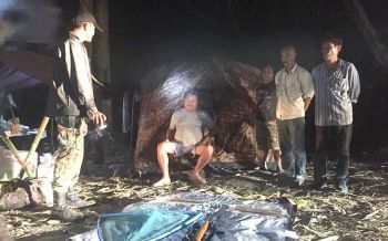 ย้อนดู 13 ข้อหา \'เปรมชัย\' ฆ่าเสือดำท่ามกลางกระแสวิ่งเต้นล้มคดี