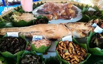 8ชนเผ่านครพนม ร่วม\'มหกรรมบ้านพ่อพอเพียง\'โชว์อาหารพื้นบ้าน
