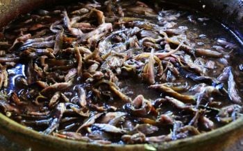 ยกเครื่องมาตรฐาน\'ปลาร้า\'  มกอช.-ประมงจัดทำคู่มือฉบับตีตลาดโลก