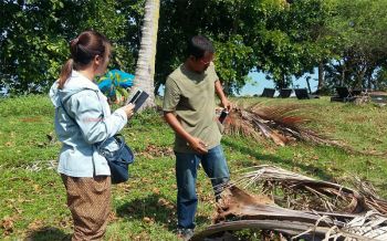 เกษตรอำเภอเกาะยาวลงพื้นที่ตรวจสอบหนอนด้วงบุกทำลายสวนมะพร้าว