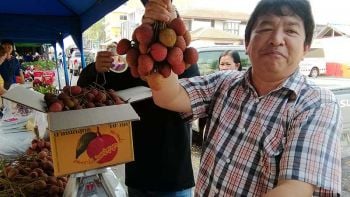 \'ลิ้นจี่นครพนม\' ดังไกล \'จีน-ฮ่องกง\' ออเดอร์นำเข้าเพียบ
