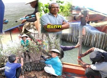‘บ้านเปร็ดใน’แก้กัดเซาะฝั่ง วิชาการผสานภูมิปัญญาท้องถิ่น