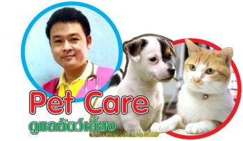 Pet care : เมื่อเจ้าตูบได้รับ‘สารเคมี’