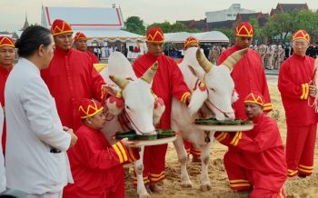 กษ.ซ้อมใหญ่พระราชพิธีพืชมงคลจรดพระนังคัลแรกนาขวัญ (ประมวลภาพ)