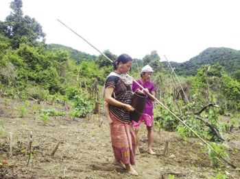 ภูมิบ้าน ภูมิเมือง : ‘วิถีชีวิตกะเหรี่ยง’  ภูมิปัญญาชุมชนคนทำไร่