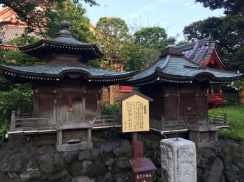 ตะลอนเที่ยว : โตเกียว ไปกี่ทีก็ไม่มีเบื่อ : Tokyo Again and Again