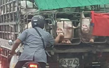 หนึ่งภาพล้านความหมาย...