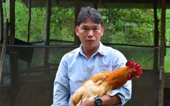 เลี้ยง\'ไก่เบตง\'ต่อยอดสู่เมนูเลื่องชื่อเมืองยะลา ใช้ระยะเวลาฟูมฟักก่อนส่งขายกำไรงาม