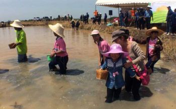 คนกรุงแห่ร่วมโครงการ \'ชวนคนเมือง ปลูกข้าว\' ลงแปลงนาหว่านกล้าสัมผัสวิถีชีวิตหลังสู้ฟ้า