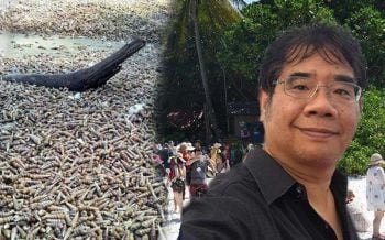 อย่าตระหนก!คลื่นซัด‘หอย’เกลื่อนหาดระนอง ดร.ธรณ์ชี้ไม่เกี่ยว‘สึนามิ’