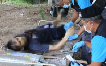 หนุ่มชัยนาทเครียดเจ๊งหุ้น ทิ้งจม.ลาตายคว้าลูกซองระเบิดอก