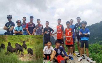 โพสต์นี้มีความหมาย \'พฤติกรรมของหมูป่าจะอยู่รวมกันเป็นฝูง\'
