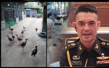 กองทัพแจงคลิป \'พลทหาร\' ถูกส่งไปเลี้ยงไก่ แค่เรื่องไหว้วาน