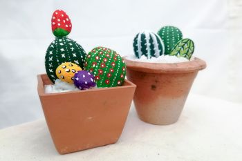 ‘แคคตัส อโรมาเธอราพี’ DIY แต่งบ้านมีดีไซน์ ให้กลิ่นหอม