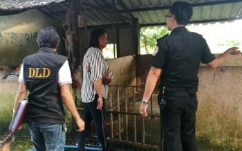 อายัดหมูนับพันตัว ฟัน2ฟาร์มแปดริ้วลอบใช้สารเร่งเนื้อแดง