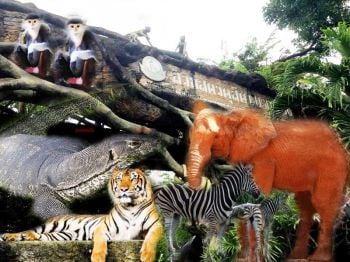 ย้อนตำนาน 120 ปี \'สวนสัตว์ดุสิต\' แห่งแรกของไทยก่อนย้ายไปที่ใหม่ปทุมธานีเนื้อที่ 300 ไร่