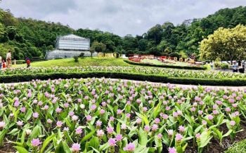 สวนพฤกษศาสตร์ฯเตรียมเปิดให้ประชาชนเข้าชมฟรีในวันแม่