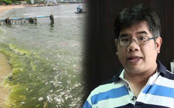 ทะเลร้องไห้! ดร.ธรณ์โพสต์‘อ่าวไทยกำลังเน่า’น้ำเขียวปี๋ ชำแหละต้นเหตุ แนะทางแก้