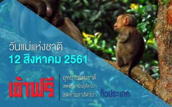 12 สิงหาลูกพาแม่เที่ยวฟรี! อุทยานแห่งชาติทั่วประเทศไม่เก็บค่าบริการ