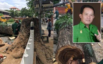 กทม.งานเข้า!‘ศรีสุวรรณ’จ่อฟ้องตัดต้นจามจุรีอายุกว่า50ปี อ้างเอื้อประโยชน์เอกชน