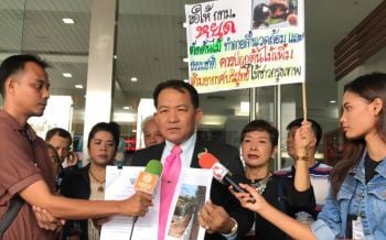 ตัดจามจุรีลาม! ศรีสุวรรณลุยฟ้อง‘ผอ.จตุจักร-ผู้ว่าฯกทม.’ ขู่ตามบี้ทุกเขตที่ตัดต้นไม้