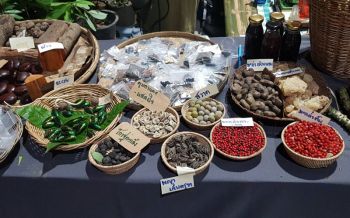 เกษตรฯนำทัพจัดงาน\'มหกรรมสมุนไพรและอาหาร\'ครั้งที่3