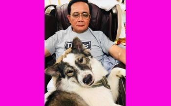มุ้งมิ้ง!! ‘ลุงตู่’เซลฟี่เอง มุมน่ารักๆเล่นกับ‘เจ้าหมี’ สุนัขบางแก้วจากพิษณุโลก