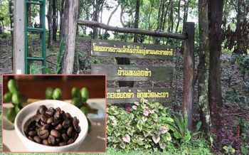 พาณิชย์พะเยานำผู้ประกอบการเชื่อมโยงตลาดกาแฟ ชูแหล่งท่องเที่ยวธรรมชาติที่เชียงคำ