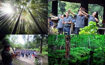 สายลุยต้องรู้! 5 กิจกรรมสุดชิค เดินป่าอย่างไร\'ไม่รบกวน-ทำลายธรรมชาติ\'