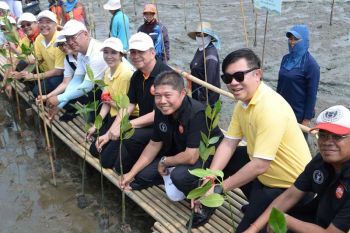 เร่งปลูกป่าชายเลนให้ได้200ไร่ภายในก.ย.