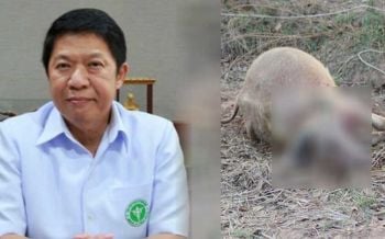 พบสัตว์ป่วยตายผิดปกติอย่าชำแหละกิน เสี่ยงพิษสุนัขบ้า-โรคติดต่อระหว่างสัตว์และคน