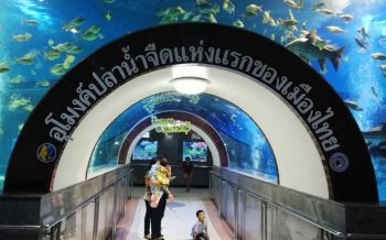 เที่ยว \'สุพรรณบุรี\' เยือน \'บึงฉวาก\' มุดอุโมงค์ดูปลาน้ำจืด-จระเข้แห่งแรกในไทย