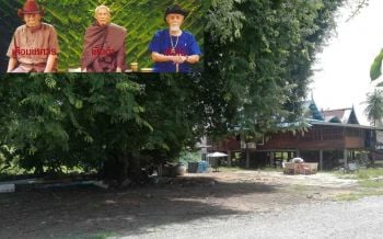 เปิดตำนานต้นมะขาม100ปี! เคยเป็นจุดพักพิงจอมโจรขมังเวทย์ \'3 เสือสุพรรณ\' ตอนออกปล้น
