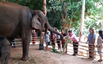 ผู้ว่าฯสุรินทร์เยี่ยมชุมชน OTOP นวัตวิถีต้นแบบ ชูเสน่ห์ต่อยอดท่องเที่ยวยั่งยืน