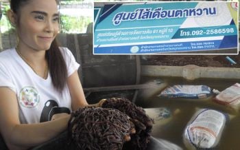 พาทัวร์ศูนย์เรียนรู้เพาะพันธุ์\'ไส้เดือนตาหวาน\'สมุทรสงคราม ผลิตปุ๋ยชีวภาพขายดีจนทำไม่ทัน