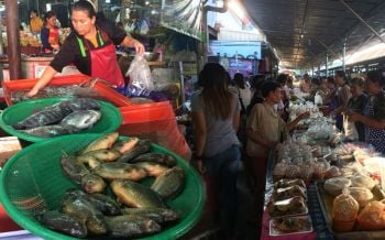 ชาวสุรินทร์เชื้อสายเขมรซื้อข้าวของคึกคัก เตรียมไหว้ทำพิธี\'แซนโฎนตา\'8ต.ค.นี้