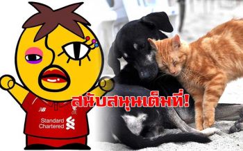 \'อีเจี๊ยบ\'หนุนเต็มที่! กม.ขึ้นทะเบียนหมาแมว บอกดัดหลังคนอยากเลี้ยงแต่ไม่มีปัญญารับผิดชอบ