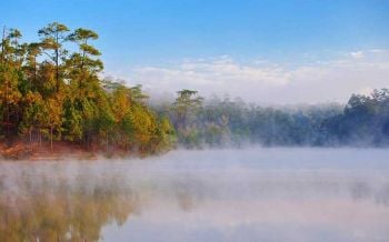 เที่ยวป่าสนดินแดนแห่งสายหมอก ‘โครงการหลวงวัดจันทร์’ ธรรมชาติที่ \'พ่อ\' สร้าง