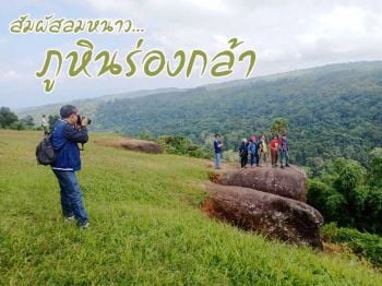 หยุดยาว! นทท.เยือน\'ภูหินร่องกล้า\'สัมผัสลมหนาว ชาตแบตให้ร่างกายก่อนกลับมาทำงาน