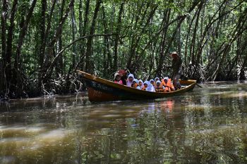 ล่องเรือกอและลอดอุโมงค์โกงกาง ชมฝูงกาดำน้ำ ลิ้มรสอาหารพื้นเมืองที่ชุมชนบางปู