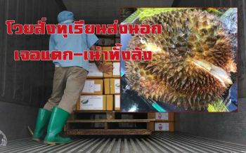 เป็นเรื่อง! ผู้ค้าส่งออกโวยสั่งทุเรียนแล้วไม่ได้ตามมาตรฐาน​พบแตก-เน่า​ แม่ค้ายันของมีคุณภาพ